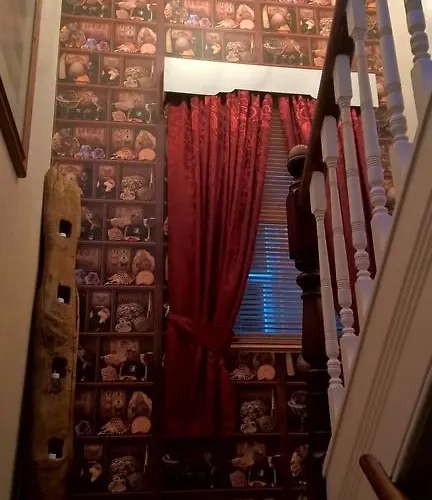 Park Dene Only 4* Whitby